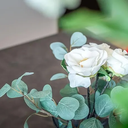 아파트 La Chiarina - A Due Passi Dal Centro Nuovo, Aria Condizionata